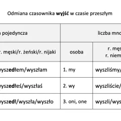 Tabela odmiany czasownika "wyjść" w czasie przeszłym. Pokazuje, czy poszedłeś, czy poszłaś, czy wyszliśmy, czy wyszłyśmy.