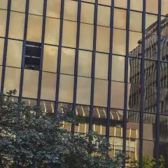 Złote szklane domy odbijają niebo i budynki, z drzewem przed nimi. Przedwiośnie w mieście.