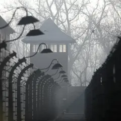 Mglisty poranek w Auschwitz. Strażnicza wieża i druty kolczaste przypominają o mrocznych wydarzeniach. U nas w Auschwitzu streszczenie historii.