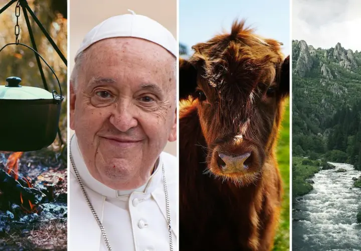 Kocioł nad ogniskiem, Papież Franciszek, brązowa krowa i górska rzeka. Jakby przyganiał kocioł garnkowi, każdy element ma swoją historię.