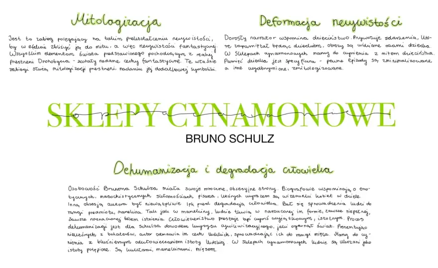 Sklepy cynamonowe - streszczenie, motywy i znaczenie