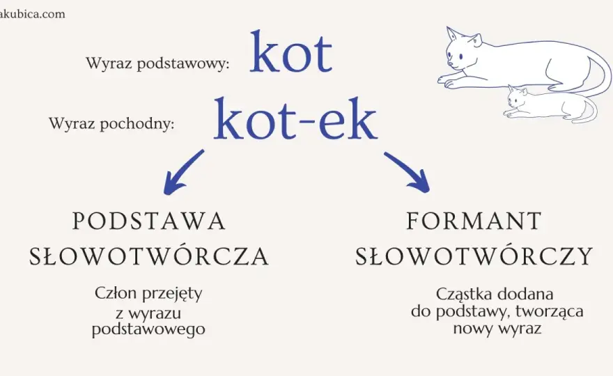 Konstatacja - co to znaczy i jak używać tego słowa?