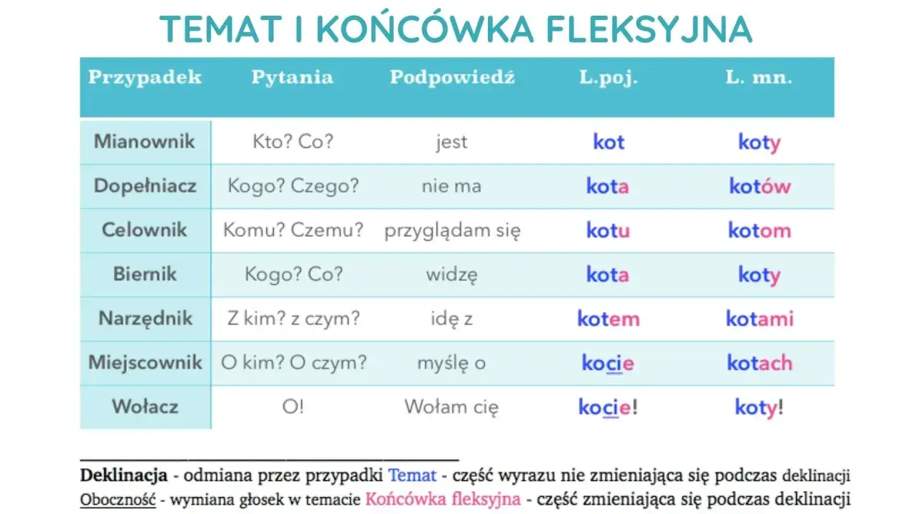 Tabela odmiany słowa