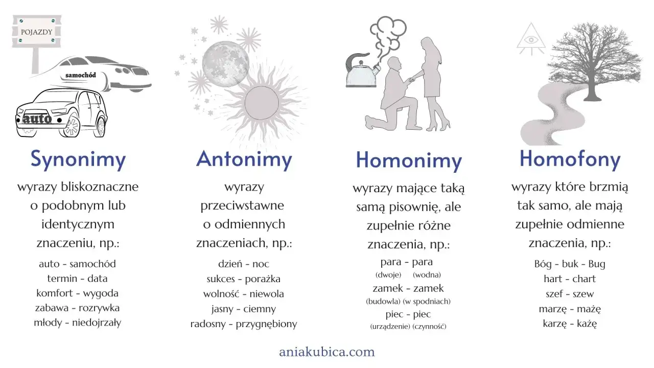 Synonimy to wyrazy bliskoznaczne, np. auto i samoch&oacute;d. Obrazek ilustruje też antonimy, homonimy i homofony.